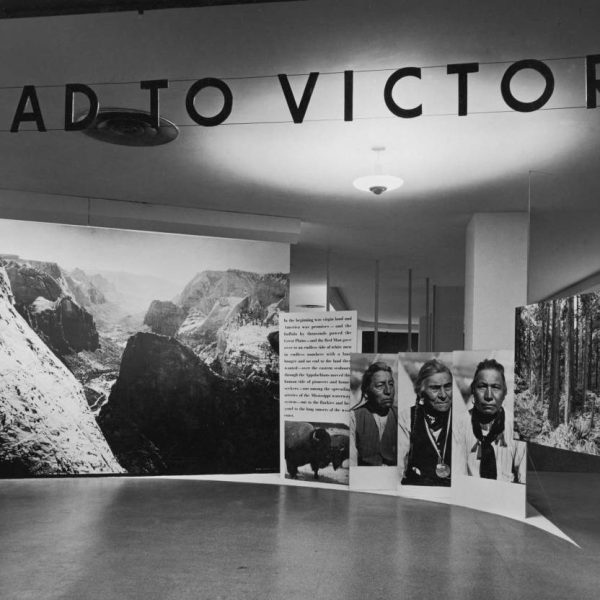 How 12 Exhibitions, Two Museums and One Gallery Changed Photography Forever