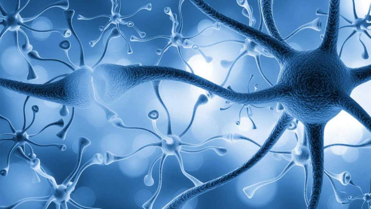 Deep-brain stimulation leads to milestone discovery about memories