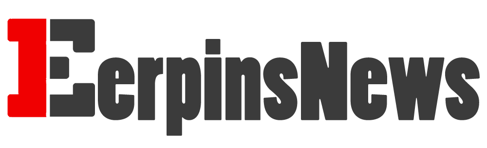 erpinsnews logo